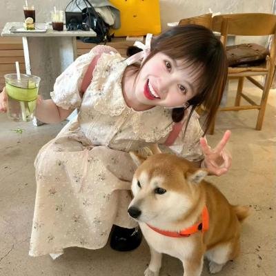 成都爱情故事